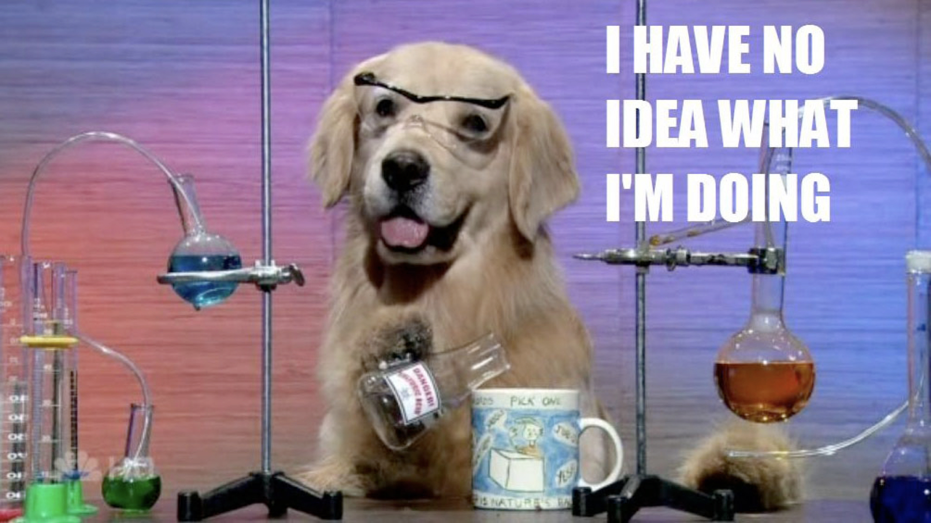A labrador in a science lab wearing safety goggles, pouring a beaker into a mug, with the text superimposed: "I have no idea what I'm doing."